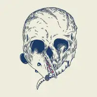 Opossum Skull - design