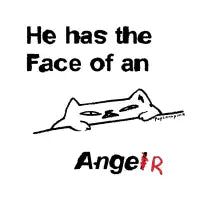 The face of an anger cat - design