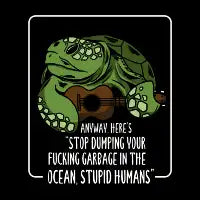 The turtle song - design