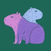 Two Capybaras - design