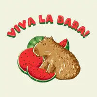 Viva La Bara - design
