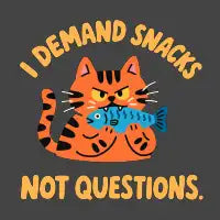 I Demand Snacks Not Questions Cat Meme - design