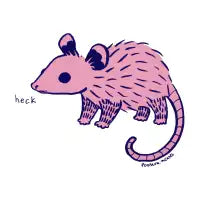 Heck - design
