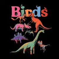 Birds - design