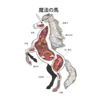 Unicorn Anatomy - design