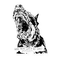 Good Boy - design