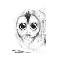 Big eye monkey - design