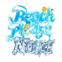 Beach Please No Ice - design