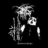 Dark Panda - design