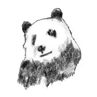 Panda - design