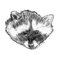Raccoon Face - design