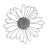 Daisy Black Blocks - design