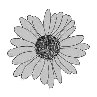 Daisy Blocks Dark Grey - design