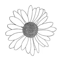 Daisy Boarder - design