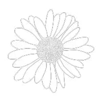 Daisy Grid - design