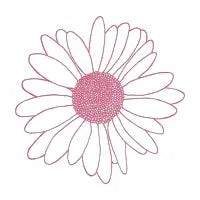 Daisy Raspberry Repeat - design