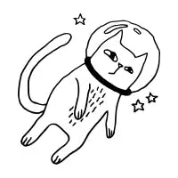 Catsmonaut - design