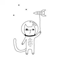 Space Cat - design