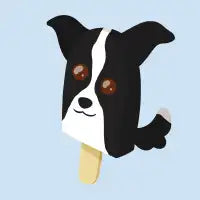 Border Collie Pupsicle - design