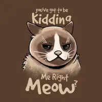 Sharing a joke with cat - design