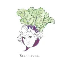 Beethoven - design