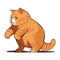 Exercising Cat - design