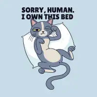 Sleepy Cat - design