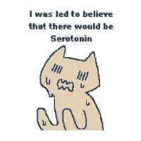I Was Led by Serotonin - 1bit Pixel Art T-Shirt - design