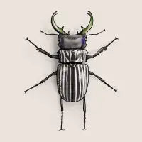 Betelgeuse - design
