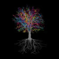 It Grows on Trees - design
