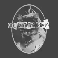 Never Mind the Furballs - design