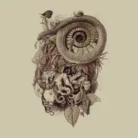 Descent - design