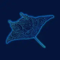 Electric Ray - design