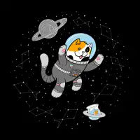 Catstronaut - design