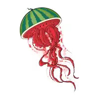 Waterjellymelon - design