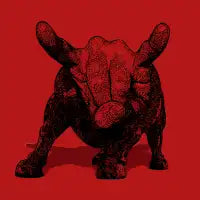 Party Animal - design