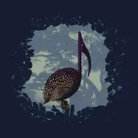 Song Bird - design