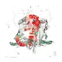 Ziggy - design