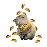 Capybara Capybaras Eating Taco Tacos, Funny Cute - design