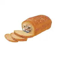 Cat Loaf Kitty Kitten Bread Breadloaf Cats Funny - design
