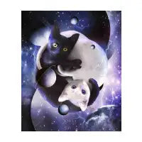 Cosmic Yin Yang Cats - design