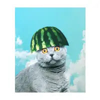 Cute Funny Watermelon Cat - design