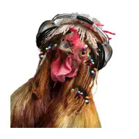 DJ Rastachicken - design