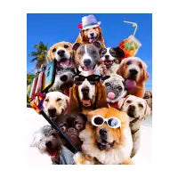 Dog Selfie Wearing Glasses - design