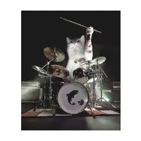 Drumming Drummer Cat - design