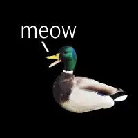 Meow Duck - design