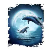 Moon Dolphins - design