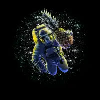Pineapple Astronaut - design