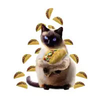 Siamese Cat Kitty Kitten Eating Taco Tacos, Funny Cute - design