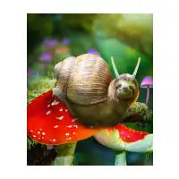 Sloth Snail On Mushroom - design